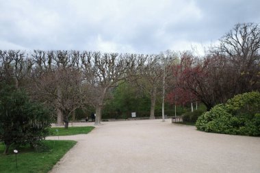 Arka planda ağaçlar ve bank olan bir park.