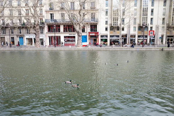 Gölde yüzen bir çift ördek.