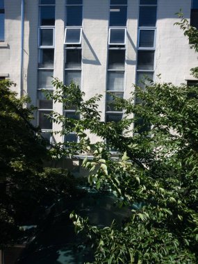 Önünde ağaç olan bir bina.