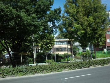 Arka planda çitleri ve binası olan bir sokak.