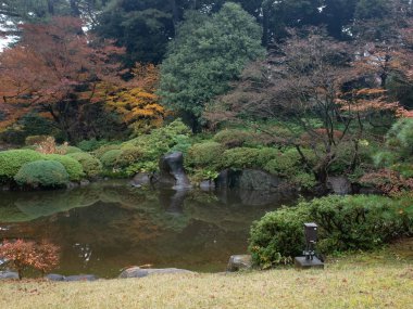 Ağaçlar ve çalılarla dolu bir parkta gölet.