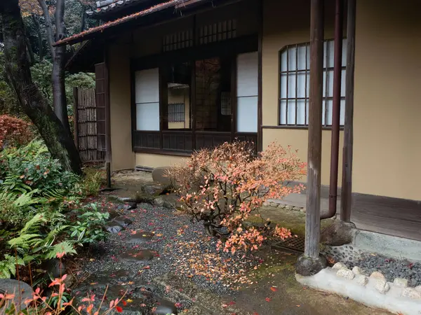 Ön bahçesinde küçük bir ağaç olan bir ev.