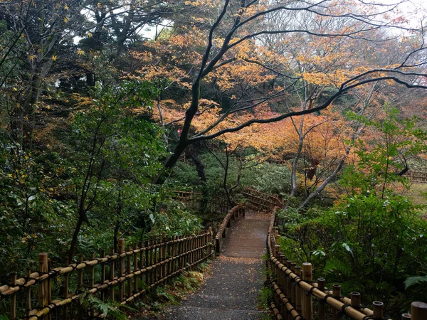 Parkta çitleri ve ağaçları olan bir patika.