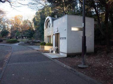 Dışarıda köpeği olan küçük beyaz bir bina.