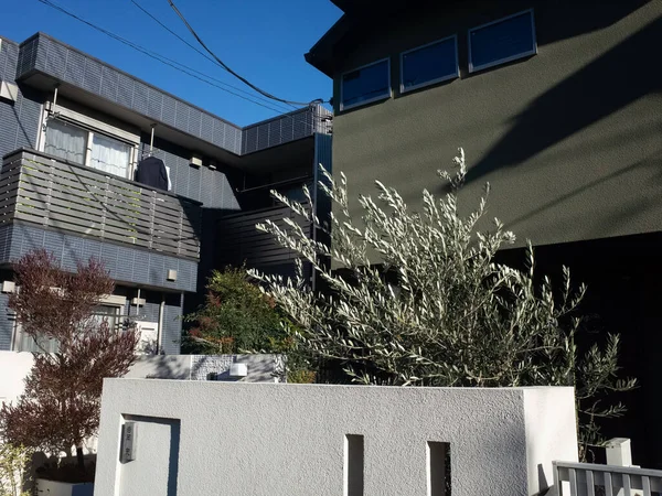 Beyaz bir çit ve ağaçlı bir bina.