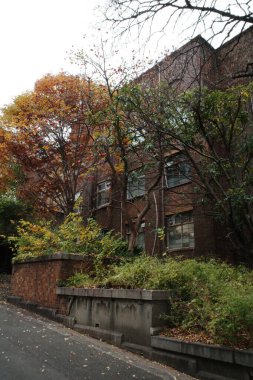 Arkasında ağaçlar ve binalar olan bir cadde.