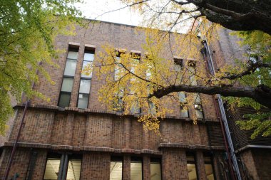 Önünde ağaç olan bir bina.