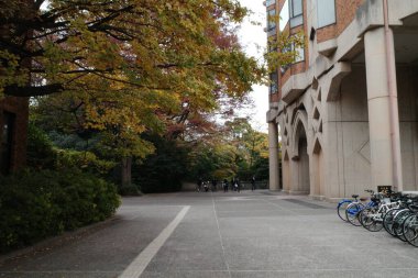 Kaldırıma park edilmiş bir sıra bisiklet.