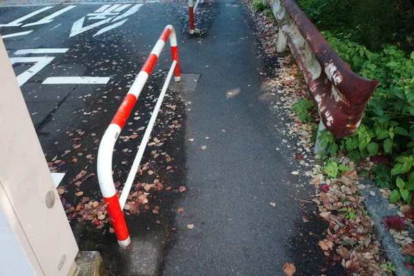 Kırmızı ve beyaz bir yangın musluğu yol kenarında duruyor.