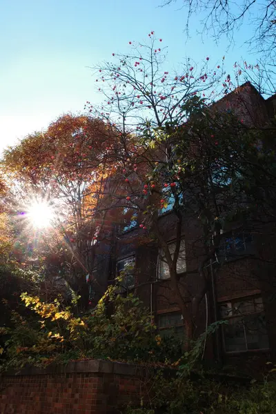 Arkasında saat kulesi olan bir bina.