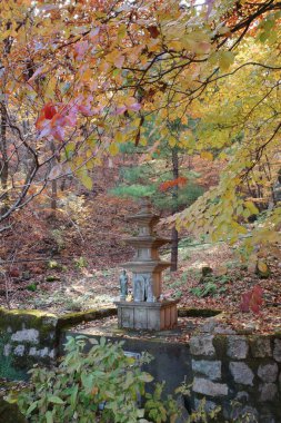 Ormanda güzel bir şelale