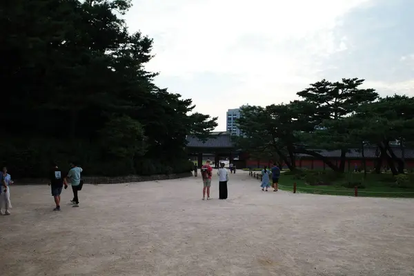 Kutsal Buda 'nın tapınağı. Şehrin en güzel şehrinde.