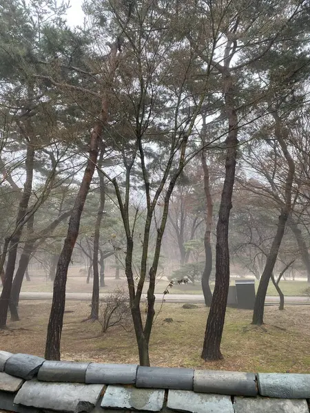 Şehrin en güzel parkı.