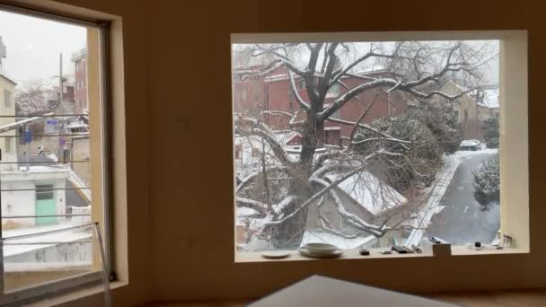 Blick Auf Das Winterfenster — Stockvideo