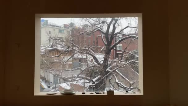 公園に雪が降っている窓 — ストック動画
