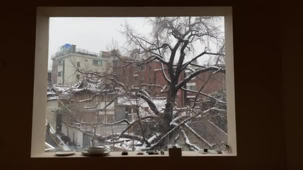 雪に覆われた木々の冬の風景 — ストック動画