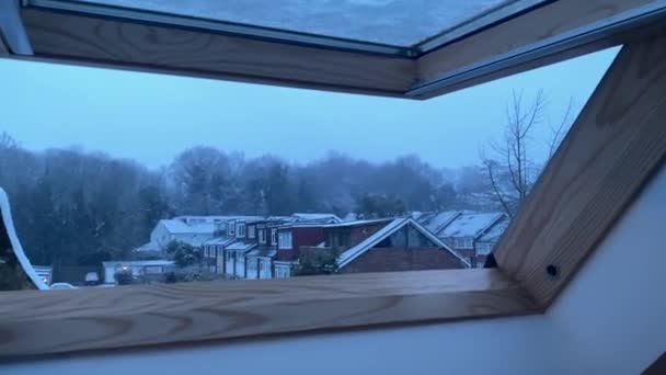 Vinter Landskab Med Sne – Stock-video