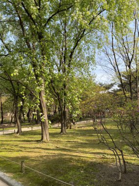 Parkın güzel manzarası