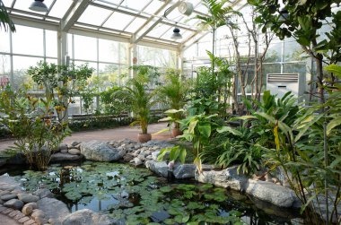 Güzel göl manzarası