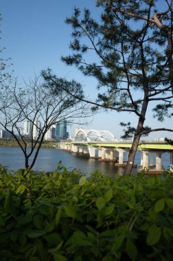 Japonya 'daki Tokyo şehri.