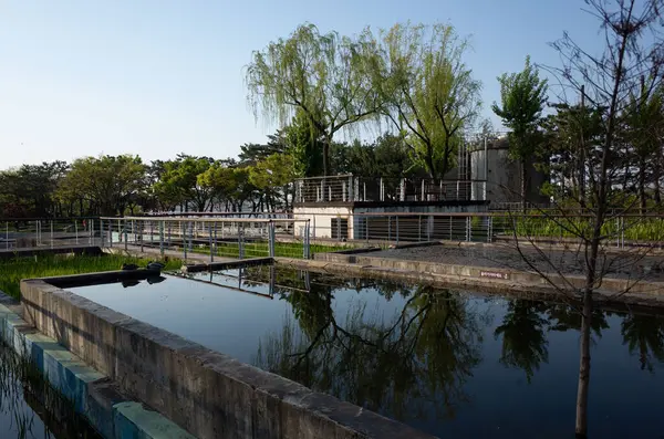 Parkın güzel manzarası