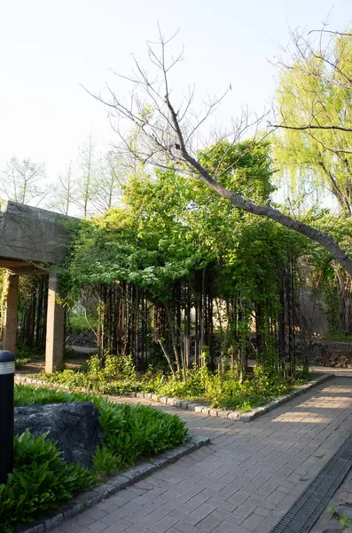 Parktaki eski ahşap ev.