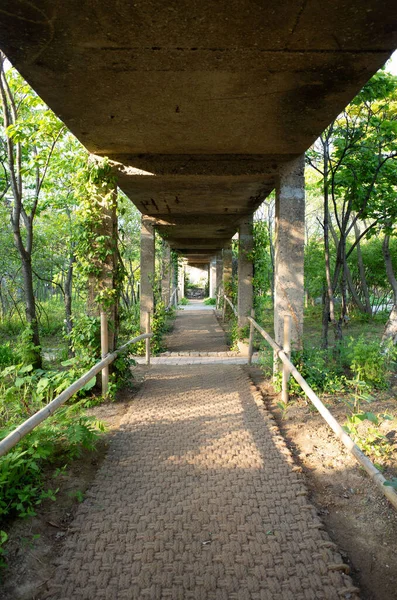 Parkın güzel manzarası