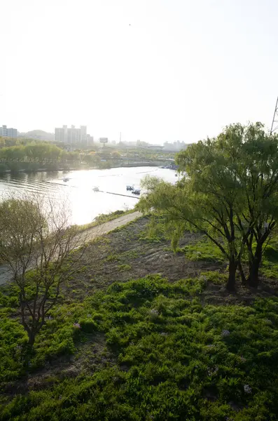 Pencereden şehre olan manzara..