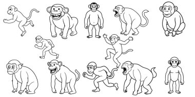 hayvan çizgisi sanat ve siluet tasarımları tasarım, vektör tasarımı 