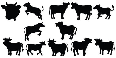 hayvan çizgisi sanat tasarımı, vektör tasarımı 