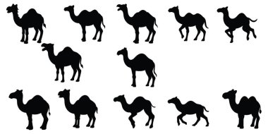 hayvan çizgisi sanat tasarımı, vektör tasarımı 