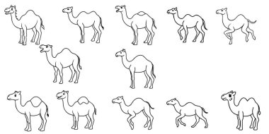 hayvan çizgisi sanat tasarımı, vektör tasarımı 