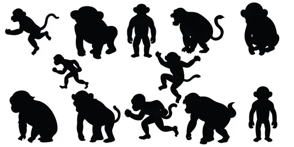 hayvan çizgisi sanat ve siluet tasarımları tasarım, vektör tasarımı 