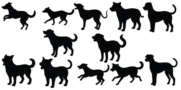 hayvan çizgisi sanat tasarımı, vektör tasarımı 