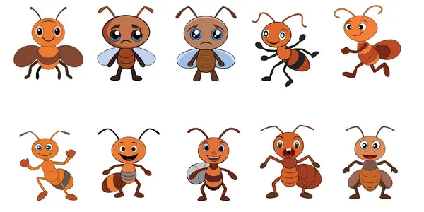 karınca tasarımı, hayvan vektör tasarımı