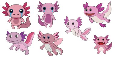 Axolotl tasarımı, hayvan vektörü deisgn