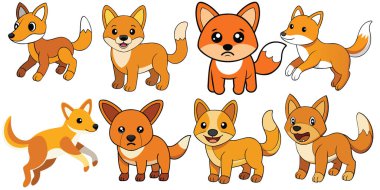Avustralya Dingo tasarımı, hayvan vektör tasarımı