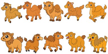 Bactrian Camel tasarımı, hayvan vektör tasarımı