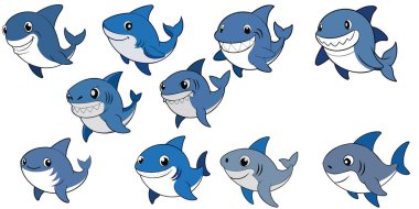 Boğa köpekbalığı tasarımı, hayvan vektörü deisgn