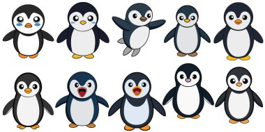 Chinstrap Penguen yassı tasarımı, hayvan vektör tasarımı