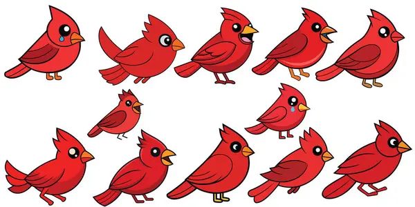 Kardinal Kuşlar tasarımı, hayvan vektör tasarımı