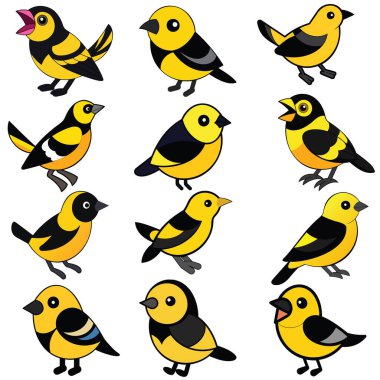 Siyah ve Sarı Tanager düz tasarım, hayvan vektör tasarımı