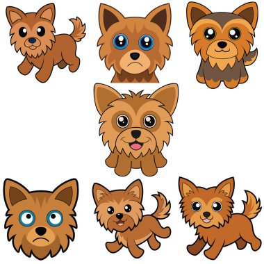 Yorkiepoo yassı tasarım, hayvan vektör tasarımı