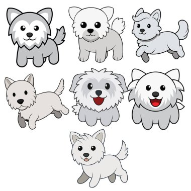 Batı Kakası düz tasarımı, hayvan vektör tasarımı