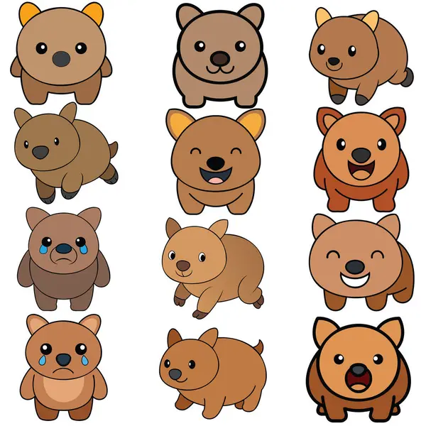 Wombat tasarımı hayvan vektör tasarımı