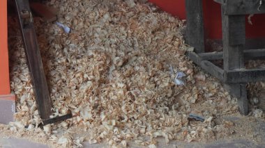 A pile of wood in sawmill. storage of timber in sawmill. Wood resources concept.