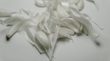 Healthy garlic on a white background. Garlic spice on white.