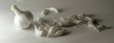 Healthy garlic on a white background. Garlic spice on white.