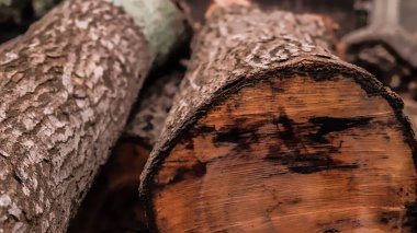 A pile of wood in sawmill. storage of timber in sawmill. Wood resources concept.