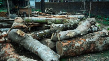 A pile of wood in sawmill. storage of timber in sawmill. Wood resources concept.